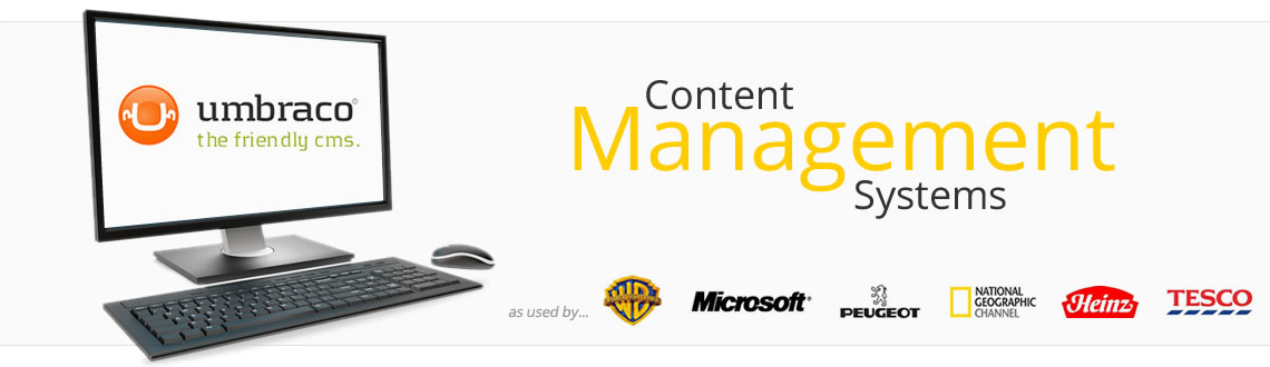 Umbraco Content Management System in Cobham, Surrey